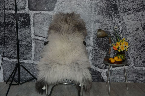 Islandfell Silber Point – Öko-Naturfell Unikat Langhaar 120cm