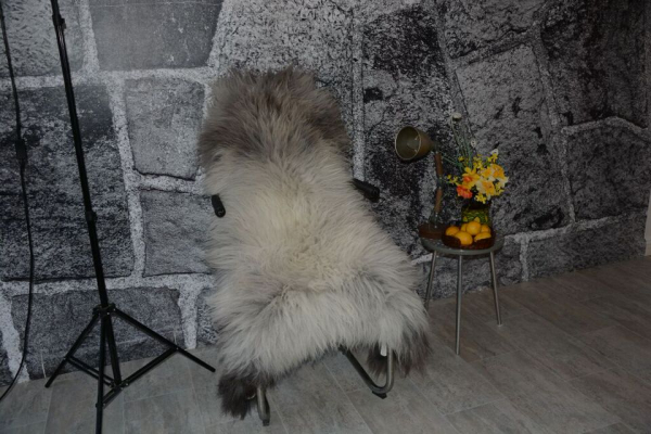 Islandfell Silber Point – Öko-Naturfell Unikat Langhaar 120cm
