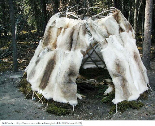 Öko Rentierfell Creeping Wolf – Echtes skandinavisches Naturfell