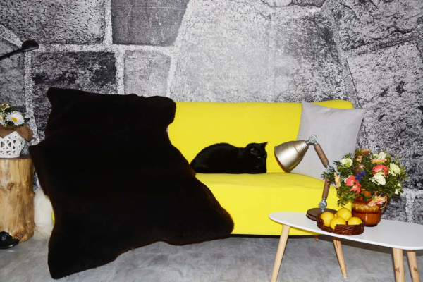 Öko Lammfell Tiefschwarz – Echtes Naturfell 100cm für LARP & Camping