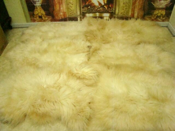 6er Lammfell-Teppich Honey Gold Honigfarben XXL Riesen-Fellteppich