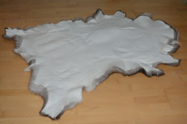 Rentierfell B-Ware Great Black Hawk XXXL – Günstiges Luxus Naturfell