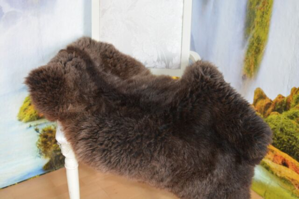 Öko Lammfell Modell Grizzly XXL – Dunkelbraunes Kurzhaar Naturfell Unikat