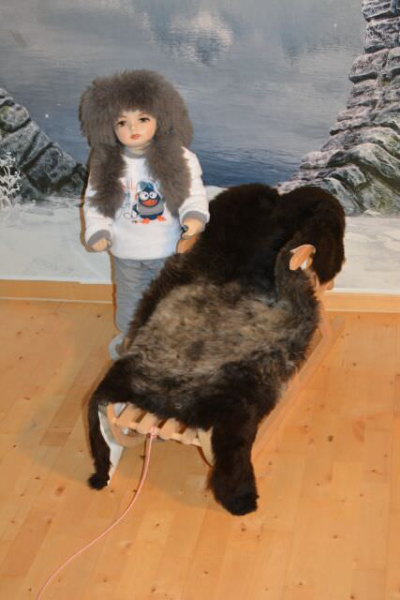 Baby Lammfell Tricolor Schwarz-Silber-Beige – Öko-Naturfell Unikat 110cm