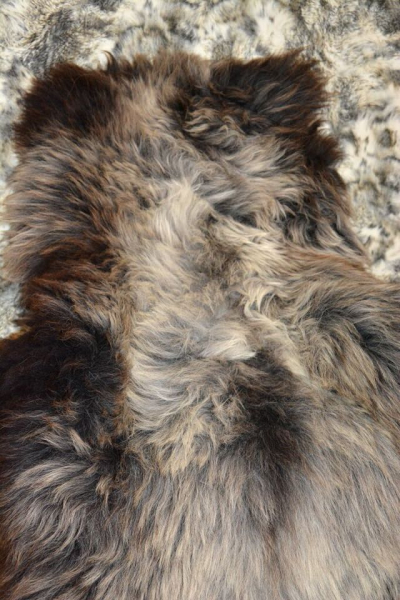 XXL Öko Schaffell Tricolour 160cm – Dreifarbiges Naturfell Unikat