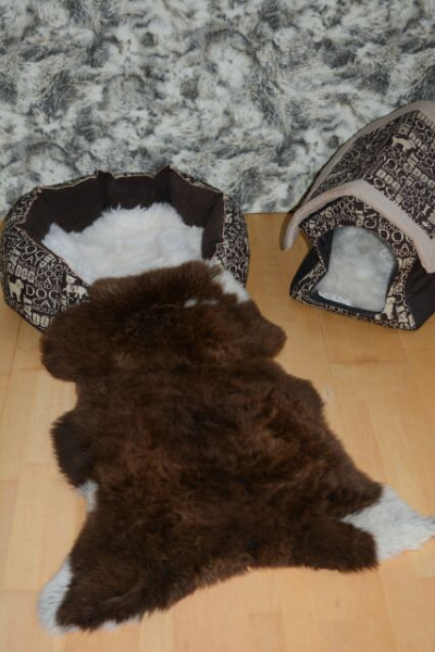 Öko Lammfell Tierbett & Hundebett Haselnuss Beige