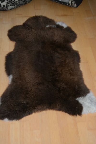 Öko Lammfell Tierbett & Hundebett Haselnuss Beige