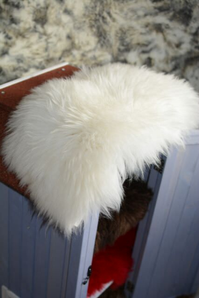 Öko Lammfell Katzenbett & Fensterfell – Weiches Naturfell 65x25cm