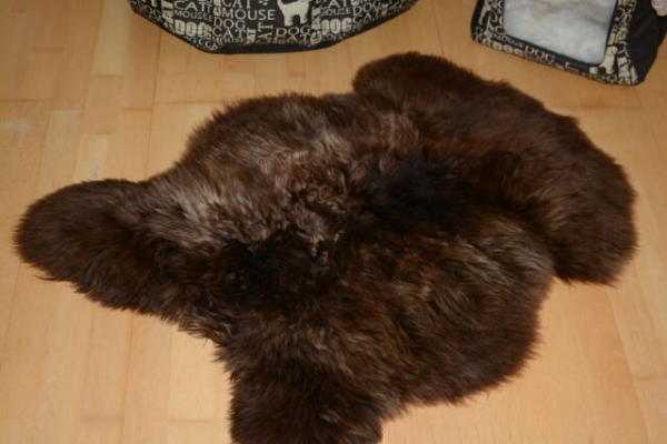 Öko Lammfell Tierbett & Hundebett (70-80cm) – Weiches Naturfell Beige-Braun