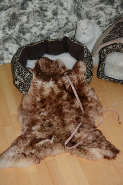 Öko Lammfell Tierbett & Hundebett Monsterfell Mokka Geflammt