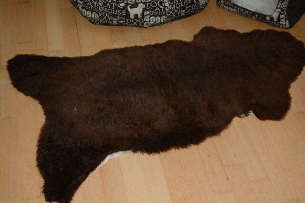 Öko Lammfell Tierbett & Hundebett „Braunbär“ Beige Braun