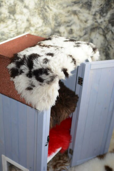 Öko Lammfell Katzenbett Schwarz Weiß getupft Fensterfell