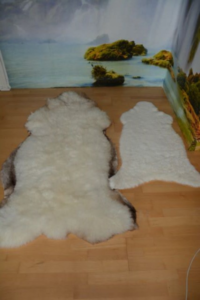 Öko Lammfell Gigant XXL Beige – Übergroßes Naturfell Unikat 160cm