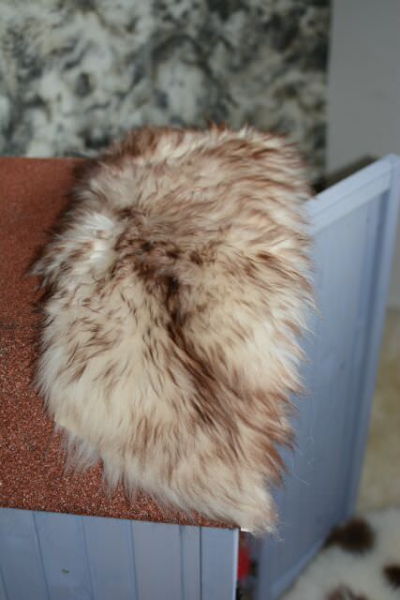 Öko Lammfell Katzenbett Mokka Geflammt Fensterfell
