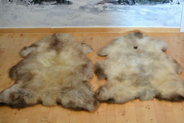 Rarität Twin-Set Lammfelle Seidenfelle Beige – 2er-Pack Öko-Naturfelle
