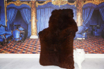Öko Schaffell Modell Braunbär XXXL – Dunkelbraunes Riesen-Naturfell Unikat 155cm
