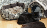 Öko Lammfell Tierbett & Hundebett Tricoloure Silbergrau Braun Schwarz