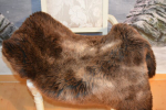 Öko Lammfell Tricolor Dark – Hundebett, Spieldecke & Ruheplatz Unikat