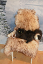 Kuscheln, schnurren und verstecken im Traumfell