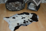 Öko Lammfell Tierbett & Hundebett „Pandabär“ Kurzhaar