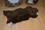 Öko Lammfell Tierbett & Hundebett Haselnuss Beige