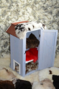 Öko Lammfell Katzenbett Schwarz Weiß getupft Fensterfell
